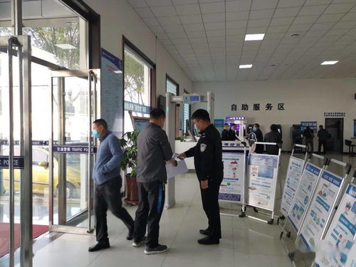 标驰北京车牌代办全流程解析：老司机教你避开这7大坑