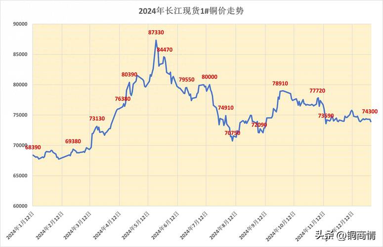 标驰京牌公司户买卖价格2023最新行情：避开这5个坑少花冤枉钱